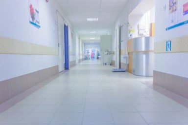 О клинике в Елизово
